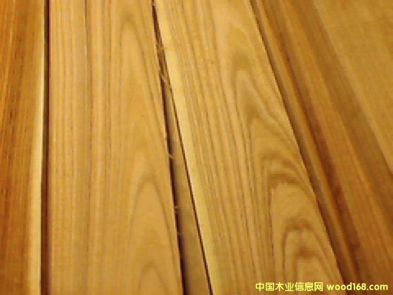 ���ľ��ɰ�