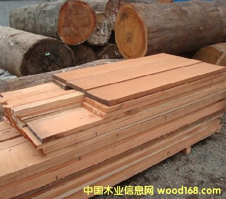 ����ľ����ľ��Ԕ��(x��)��B