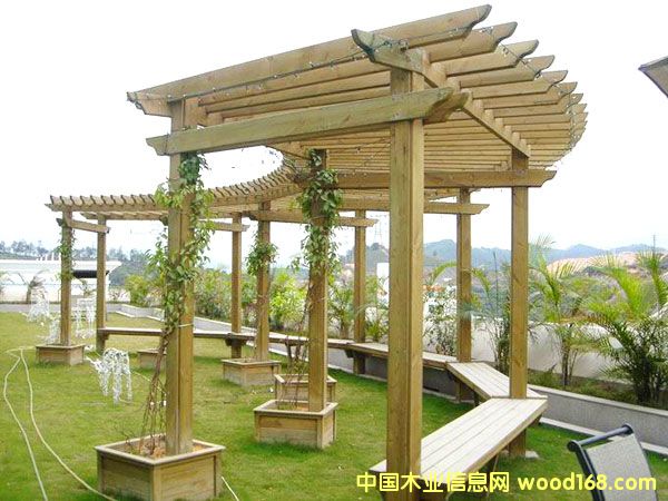 ����ľ�����ɵ�Ԕ��(x��)��B