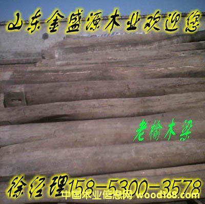 ����ľ��03��Ԕ����B