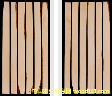 S66 yield plus ������б߅��S��