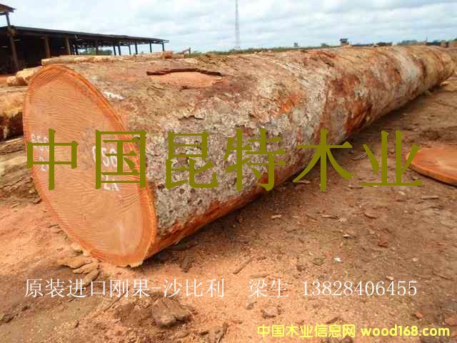 ���ބ���-ɳ������Ԕ����B