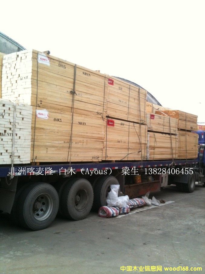 ���ް�ľ��Ayous����Ԕ����B