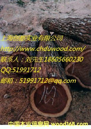 ΢���S̴��ī���磩��Ԕ��(x��)��B