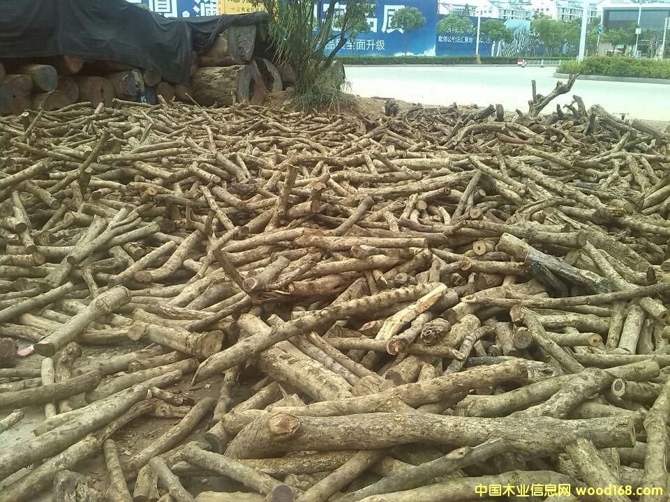 ��̴�����񣩵�Ԕ����B