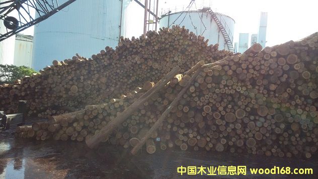 �ձ���ɼ��Ԕ����B