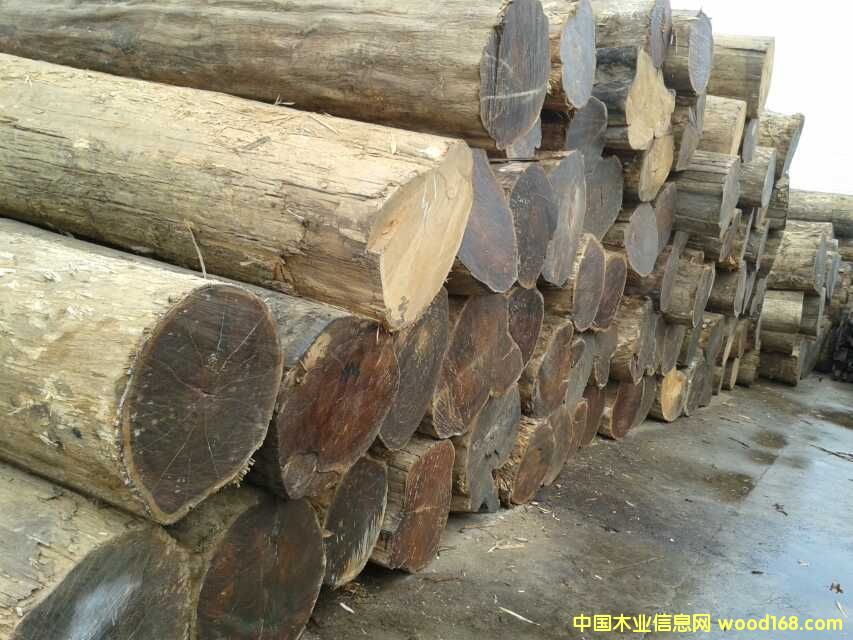 ������ľԭľ��Ԕ��(x��)��B