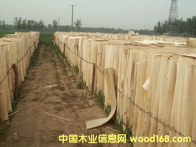 ������Ԕ��(x��)��B