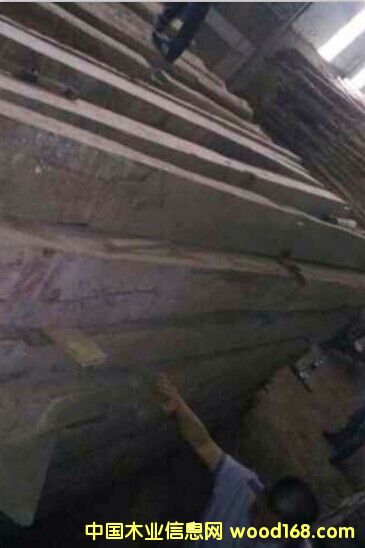 �ϓ��t��֦��Ԕ��(x��)��B