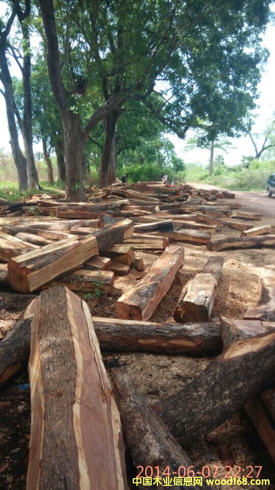 ���ށ������Ԕ��(x��)��B