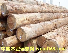 ����(y��ng)���黨��ľԭľ���tľԭľ����ڏ�ԭľ�����飩