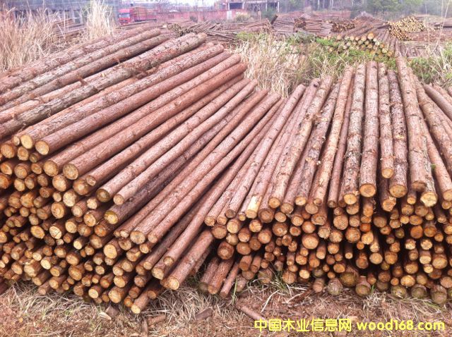 ɼԭľ��Ԕ��(x��)��B