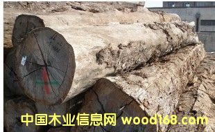 �F���� ԭľ