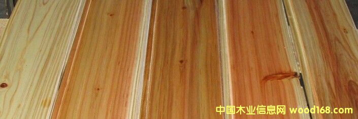 ���o(w��)���ᣩɼľ����