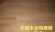 �����t��ָ�Ӱ�