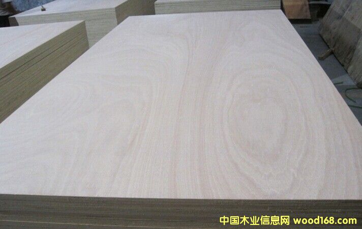 ��(y��u)�|(zh��)12mmE1��(j��)�ߙn�Ҿ������Ӱ��Ԕ��(x��)��B