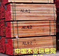 ����ľ��Ԕ����B