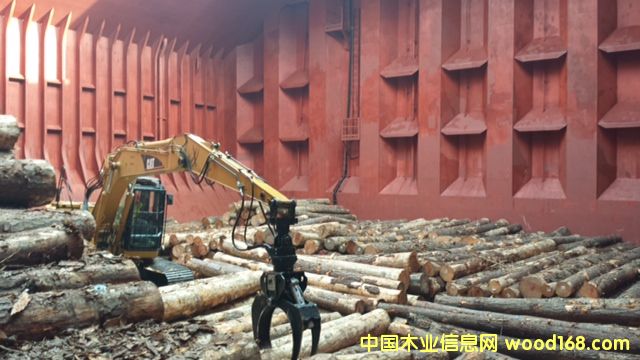 �Ϸ��� Southern Yellow Pine logs 