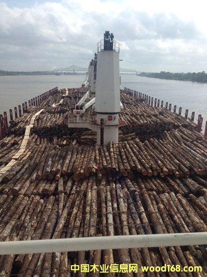 ��ľ����ľ����ľ