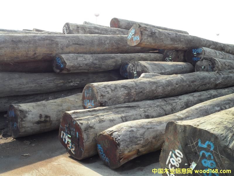 菠蘿格的詳細(xì)介紹