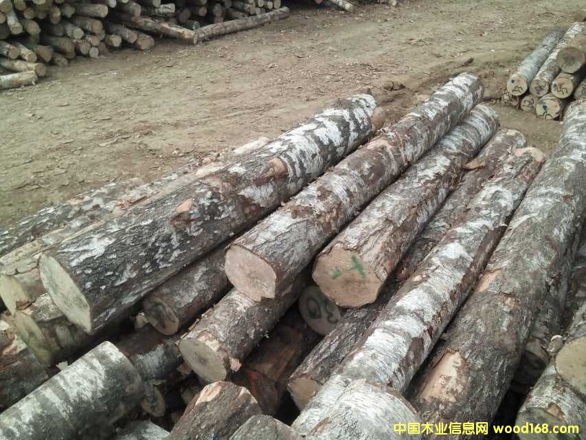 �M(j��n)�ڇ����ľ�N�۵�Ԕ��(x��)��B