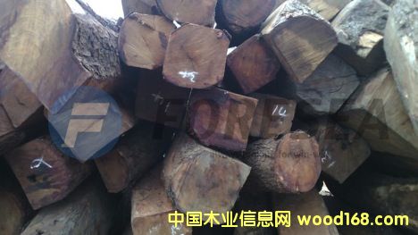 ����������S��������̴��Ԕ��(x��)��B