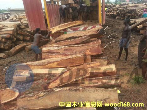 ����������S��������̴��Ԕ��(x��)��B