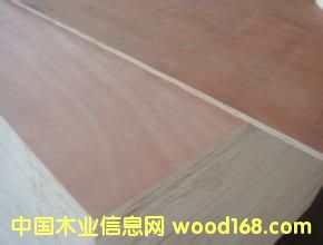 ���������Ԕ����B