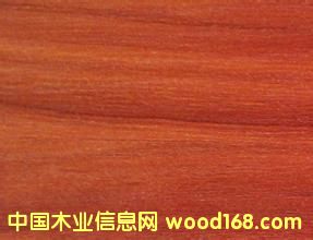 ���B(t��i)�屳��