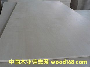 E0,E1��(j��)���Ӱ����ߙn�Ƶ�Ҿ߰���9���z�ϰ��Ԕ��(x��)��B