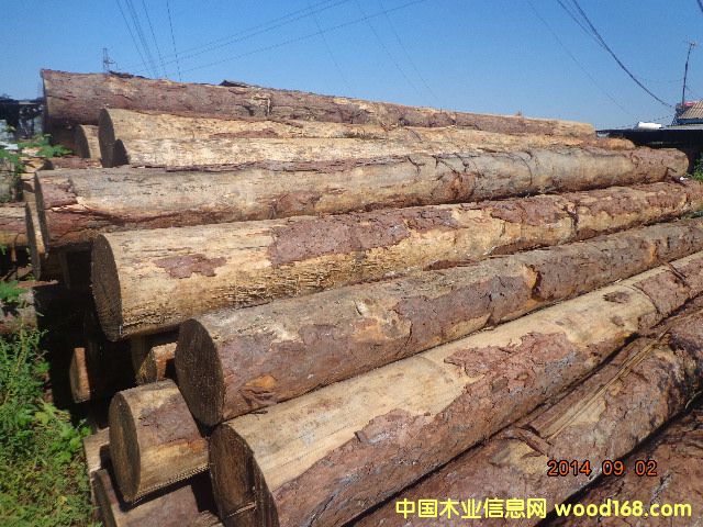 ���~��ԭľ��Ԕ��(x��)��B