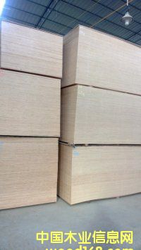 ��ľ���b���Ӱ��Ԕ����B