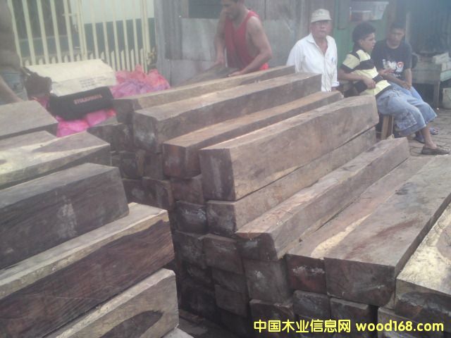 微凹黃檀的詳細(xì)介紹