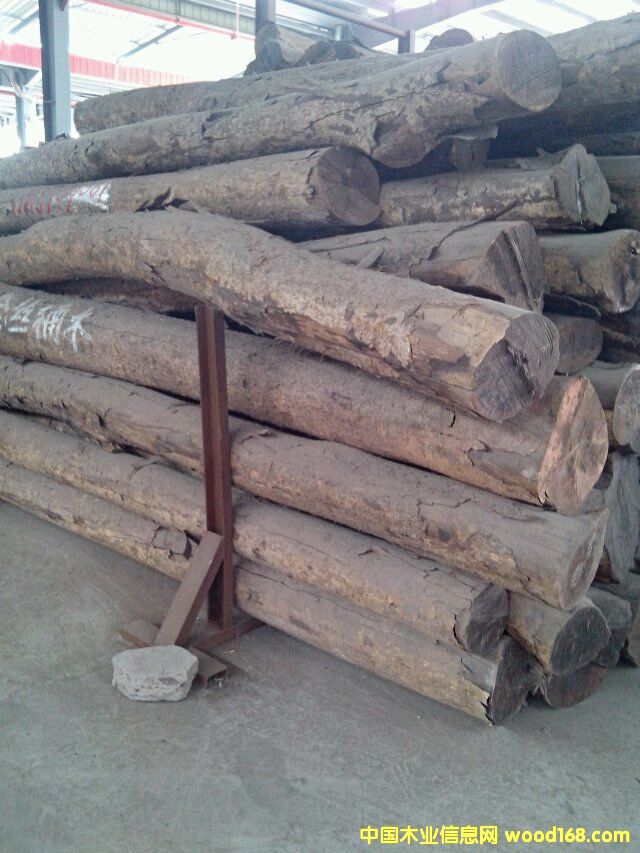 金絲楠木的詳細(xì)介紹