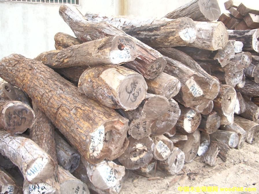 小葉紅檀的詳細(xì)介紹