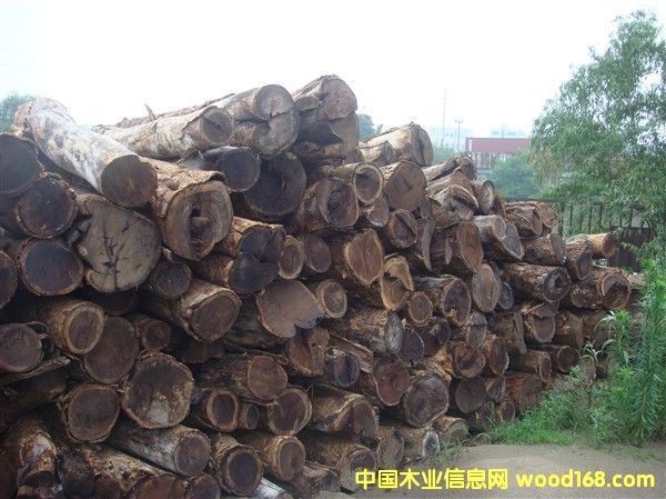 С�u�ᣨ���u�ᣩ��Ԕ��(x��)��B