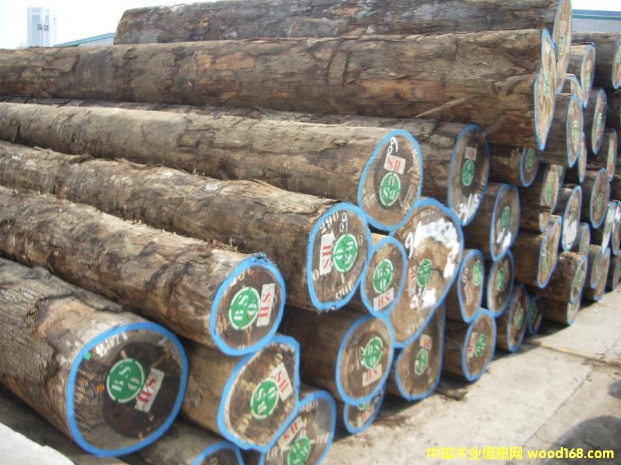 �t���棨���޻��棩��Ԕ��(x��)��B