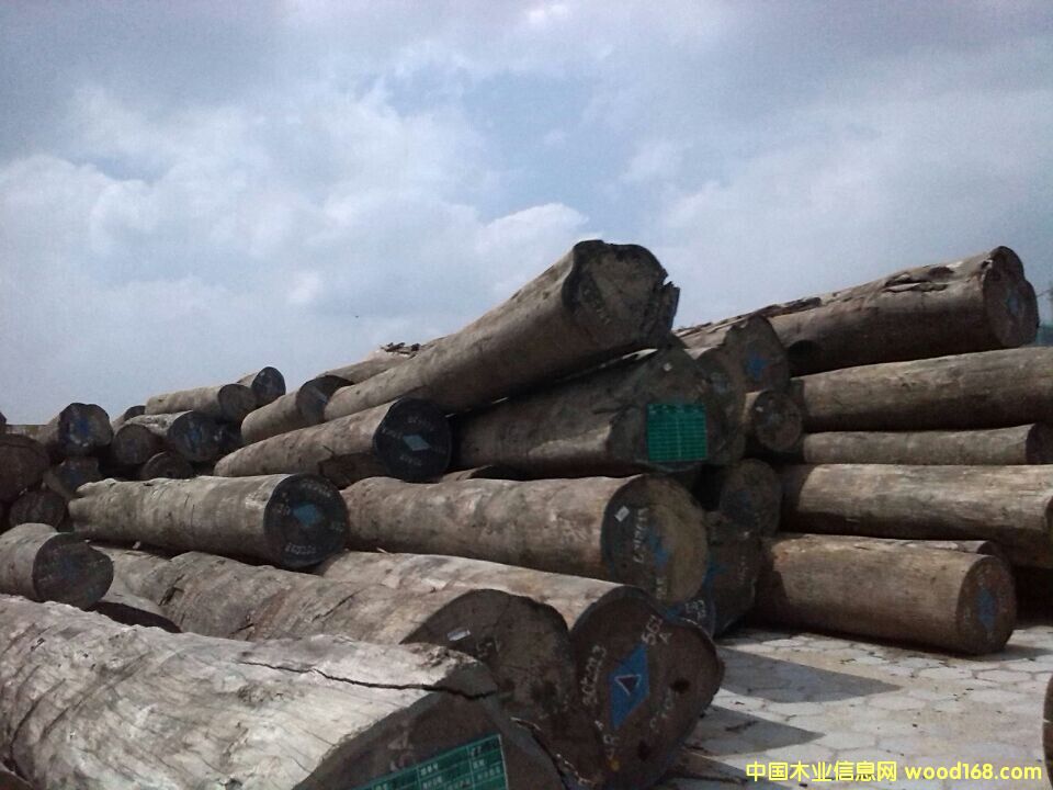 ��������u���Ԕ����B