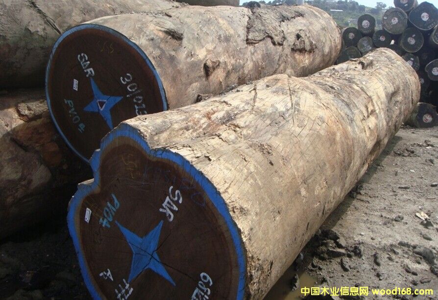 �����յ�Ԕ����B