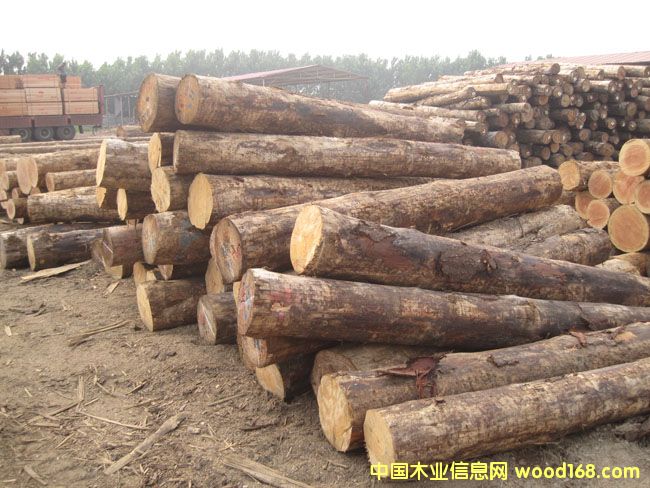 澳松的詳細介紹