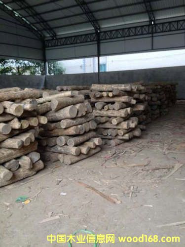 �S��ľ��Ԕ��(x��)��B