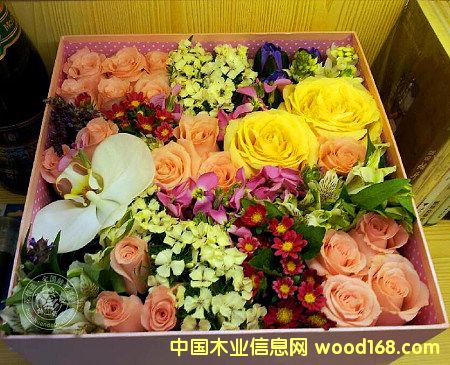 �M(j��n)�ں��m���߲�õ����Ҫ��Щ���C�����Ϻ��C(j��)��(ch��ng)��(b��o)�P(gu��n)��