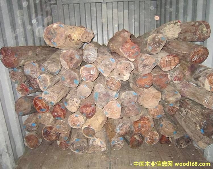 ��ô�k��ϡ��ľ���M(j��n)���C����Ҫ�ķN�Y��