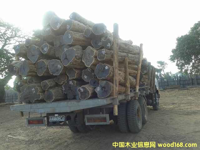 �Ϲ�̴���|�Ǻ��S̴����ľ��Ԕ��(x��)��B