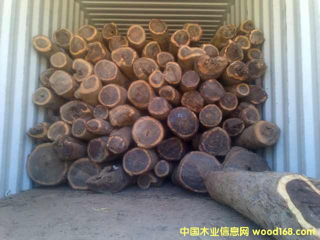 Ѫ̴ԭľ��άF(xi��n)؛