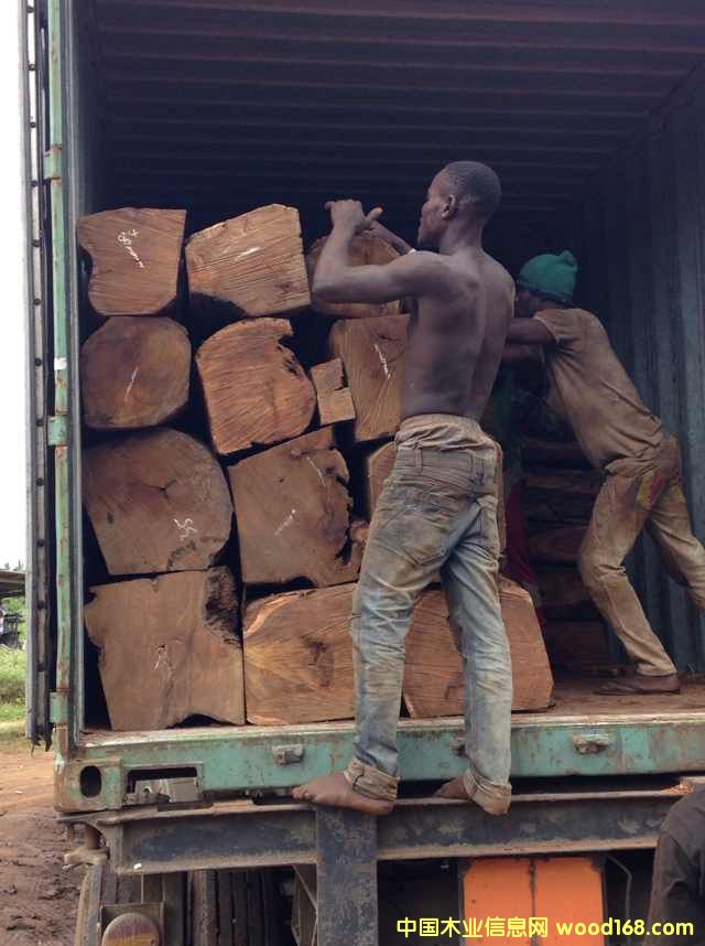 �Ӽ{������/�����̴ԭľ���