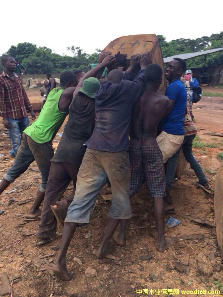 �Ӽ{�����̴��Ԕ��(x��)��B