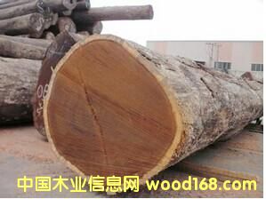 ӡ����̴����~�S̴��ԭľ