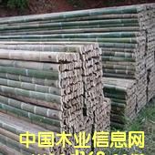 ��������A���Ԕ��(x��)��B