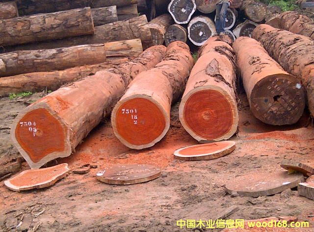 ������̴��Ԕ��(x��)��B